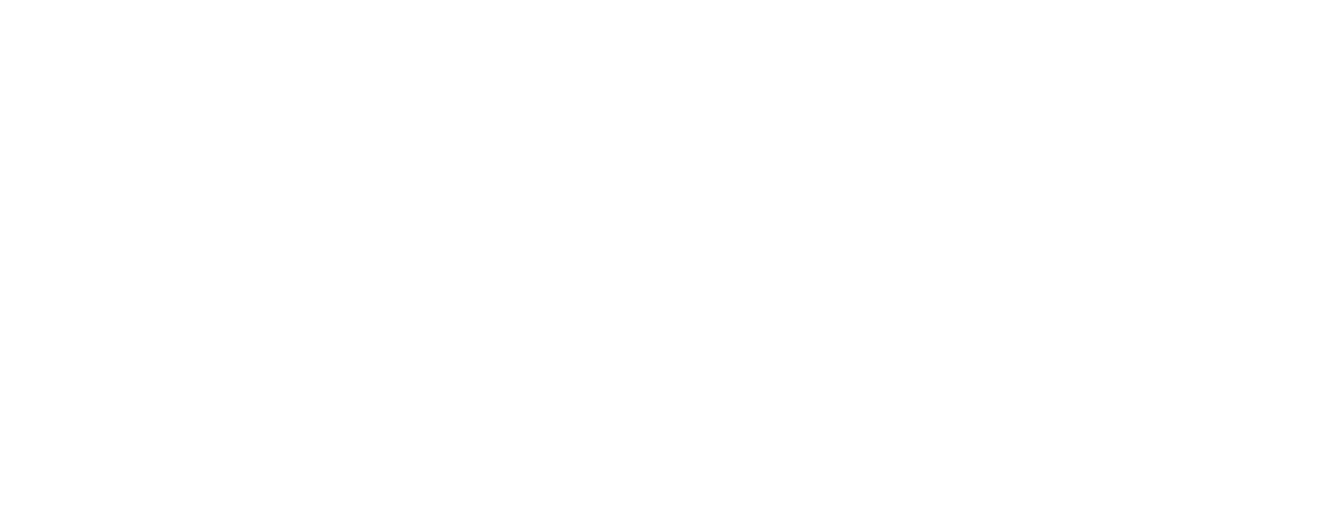 Logo programa de sócio torcedor do vozão